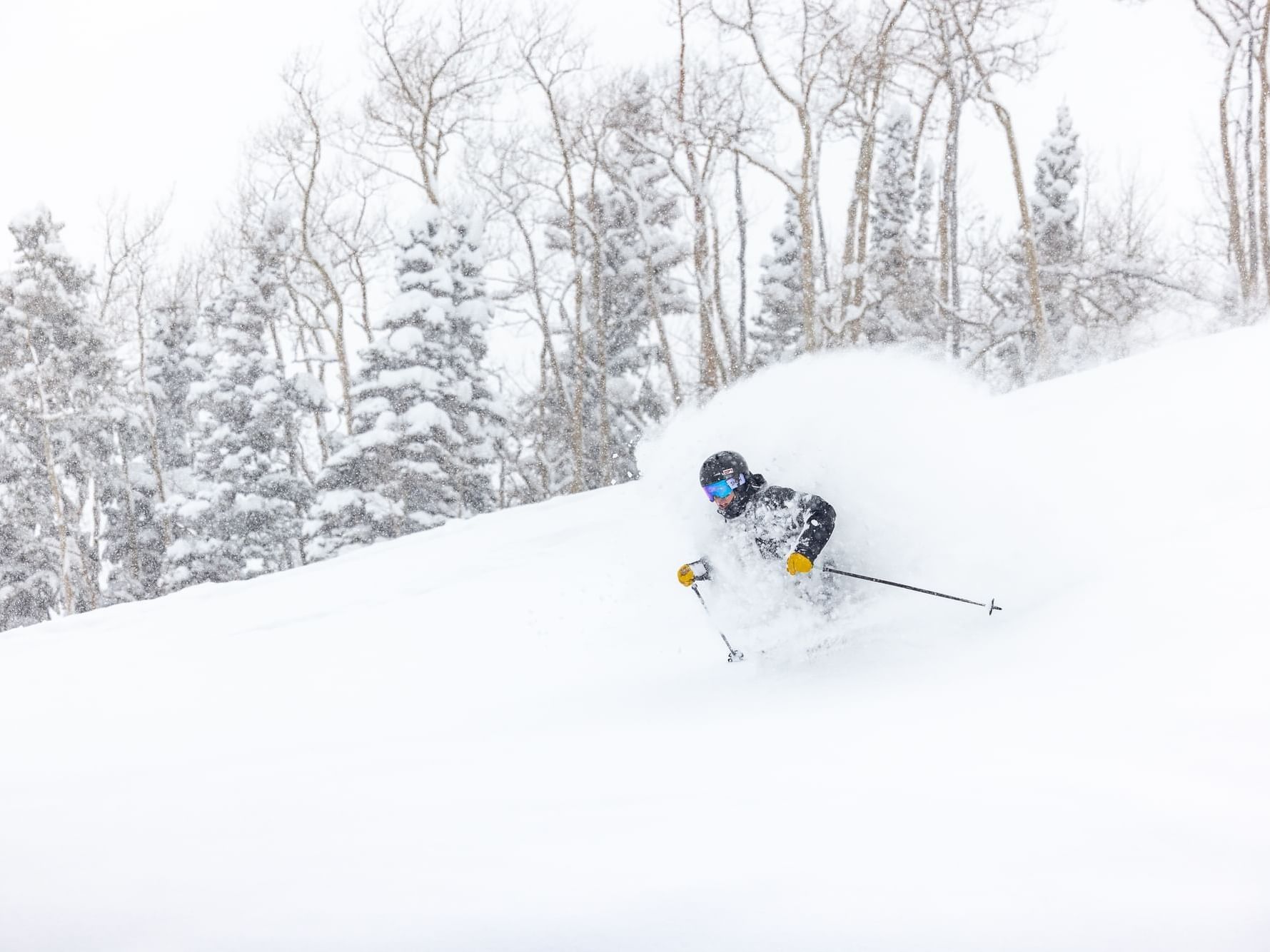 Colorado Locals Special at Elevation