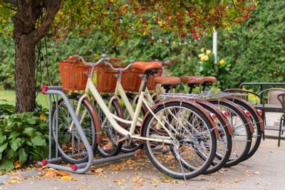 Bikes with baskets parked on a sidewalk at The Exeter Inn, ready for guests to explore the area