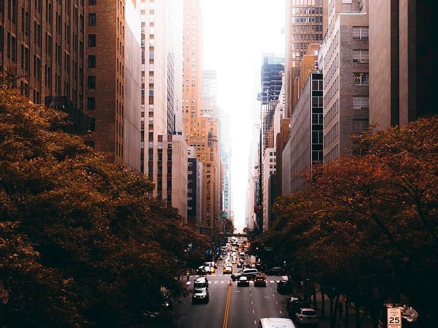 autumn view of the city