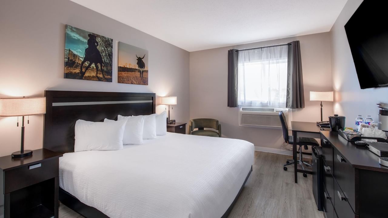 Accessible King guest room at Coast Innisfail Hotel with desk and TV