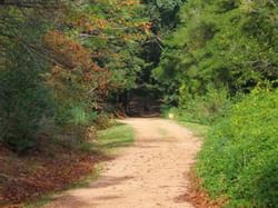 Pathway in Arboretum Lussich near Grand Hotels Lux