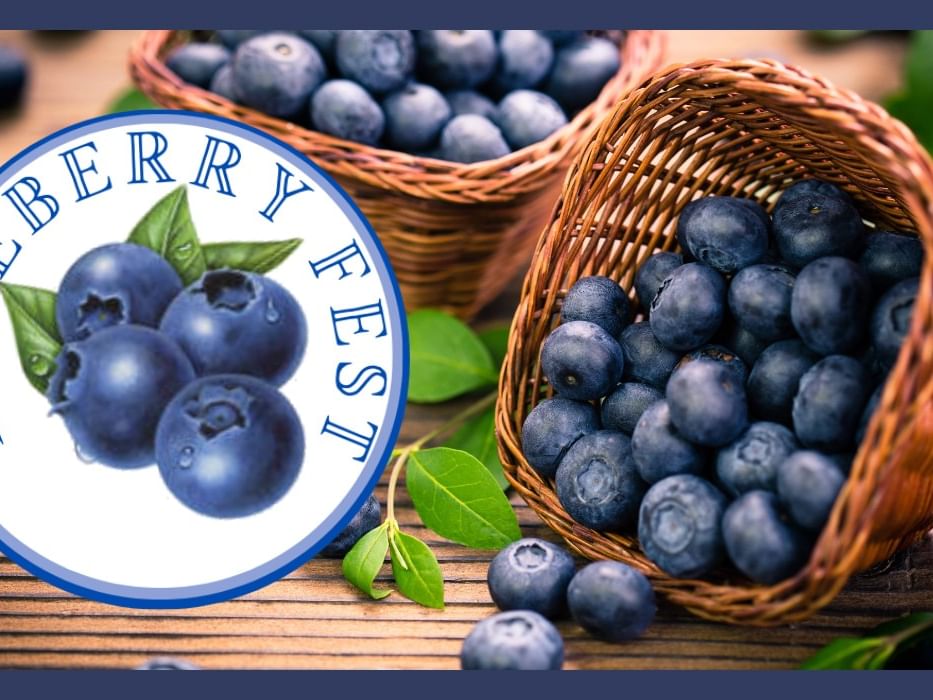 Blueberry Fest at Wickham Park