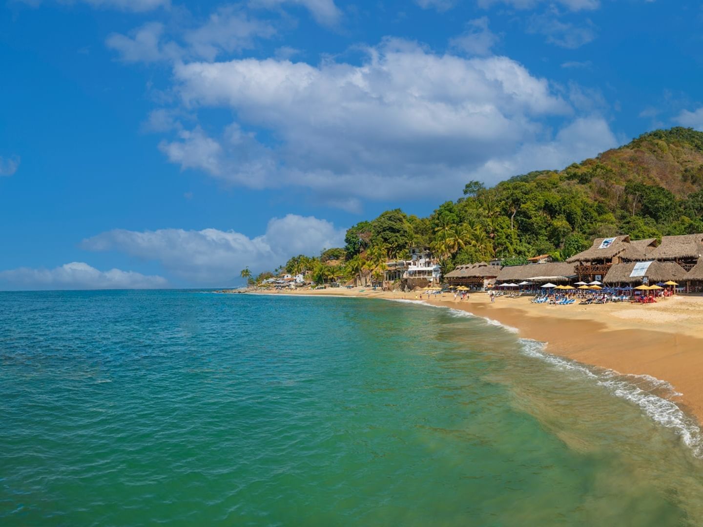 Las Ánimas Beach thatched huts against a backdrop of a clear blue sky near Plaza Pelicanos Club Beach Resort