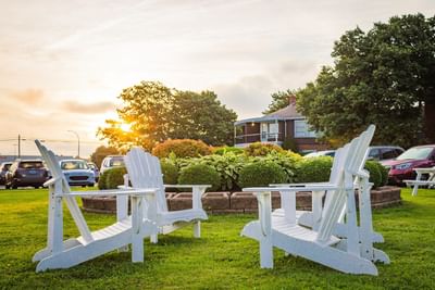 Four white Adirondack chairs facing each other on a green lawn with a sunset in the background at Rodd Royalty