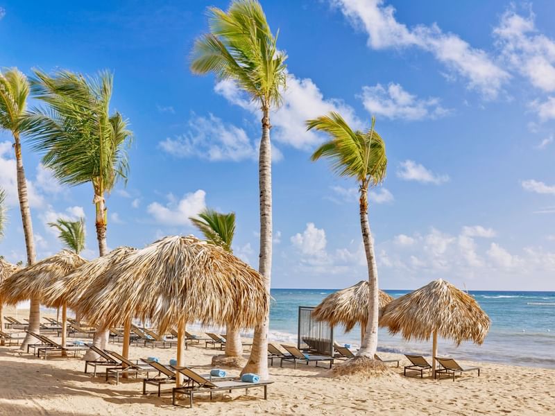 Lounge chairs on a sandy beach under a clear blue sky near Live Aqua Punta Cana