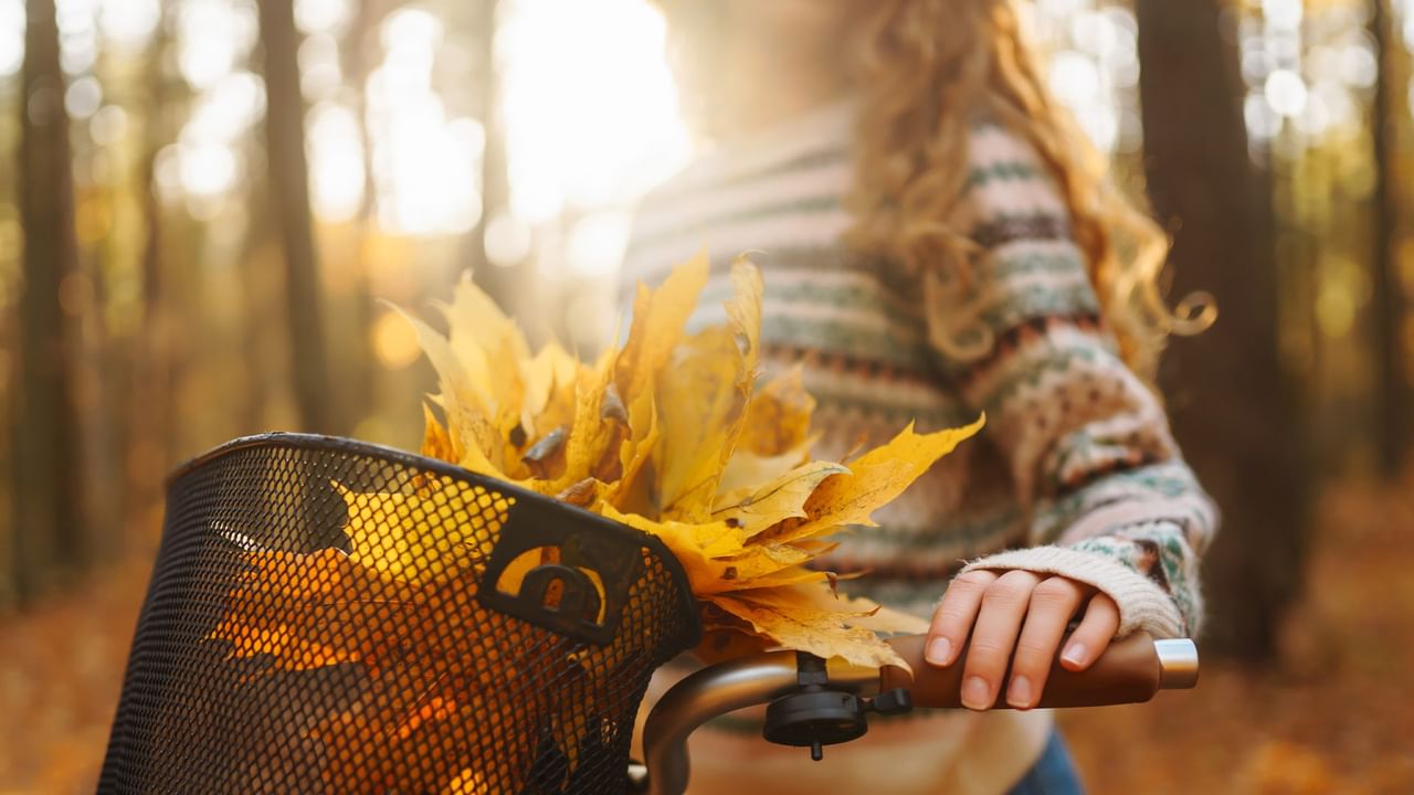 Person holding bicycle handlebars with golden autumn leaves in basket during sunny fall day outdoors