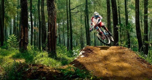 Mountain biker on forest trail through native bush in New Zealand
