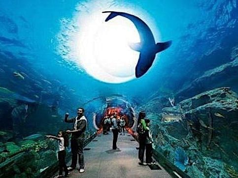 Dubai Aquarium and Underwater Zoo near Two Seasons Hotel & Apt