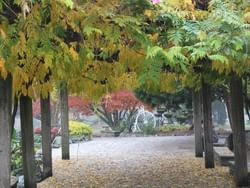 View of Parco del Valentino near Duparc Contemporary Suites