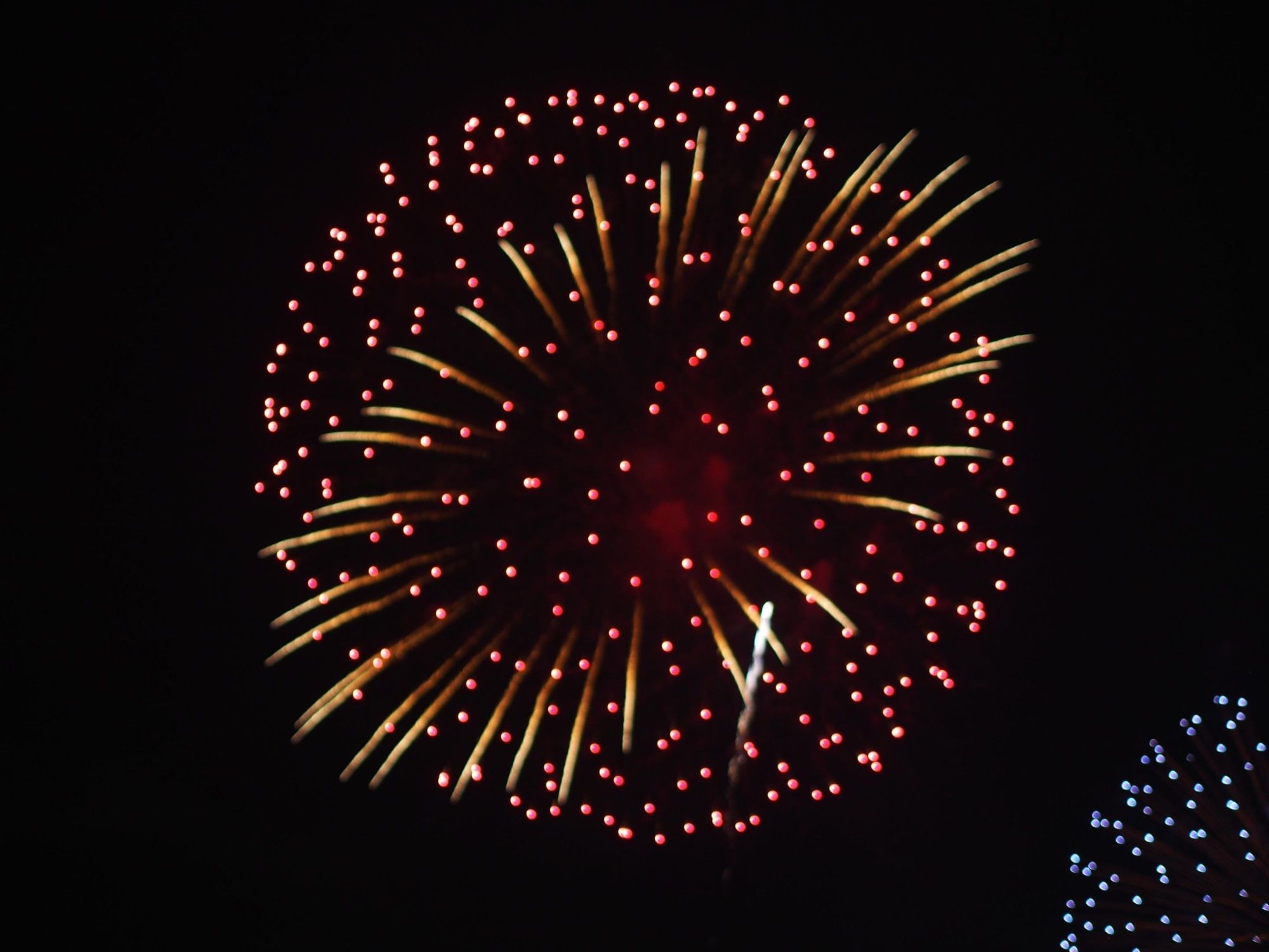 Best Fireworks Japan | Grand Park Otaru | Park Hotel Kyoto