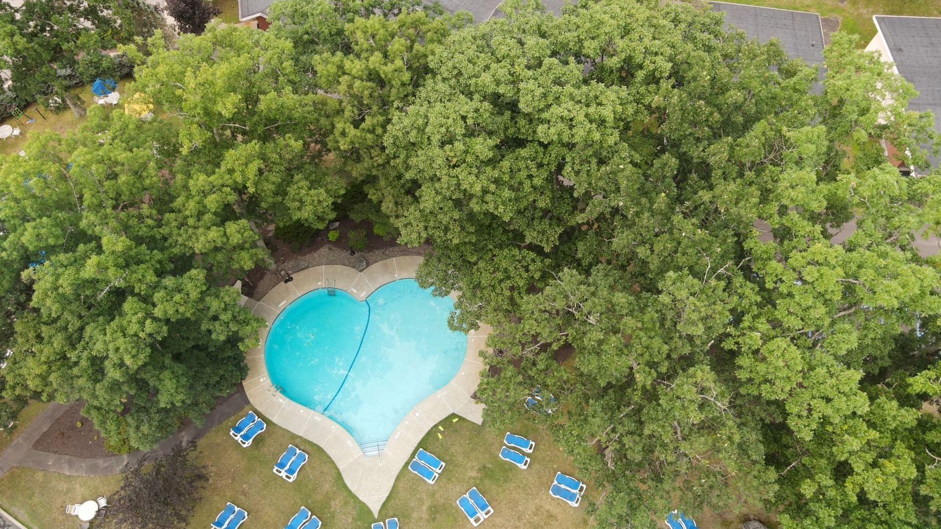 Aerial view of a Heart shaped pool with sunbeds beds surrounded by trees at Cove Pocono Resorts