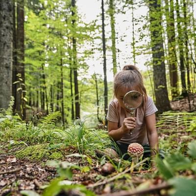 Girl examing a mushroom in a forest near Falkensteiner Hotels