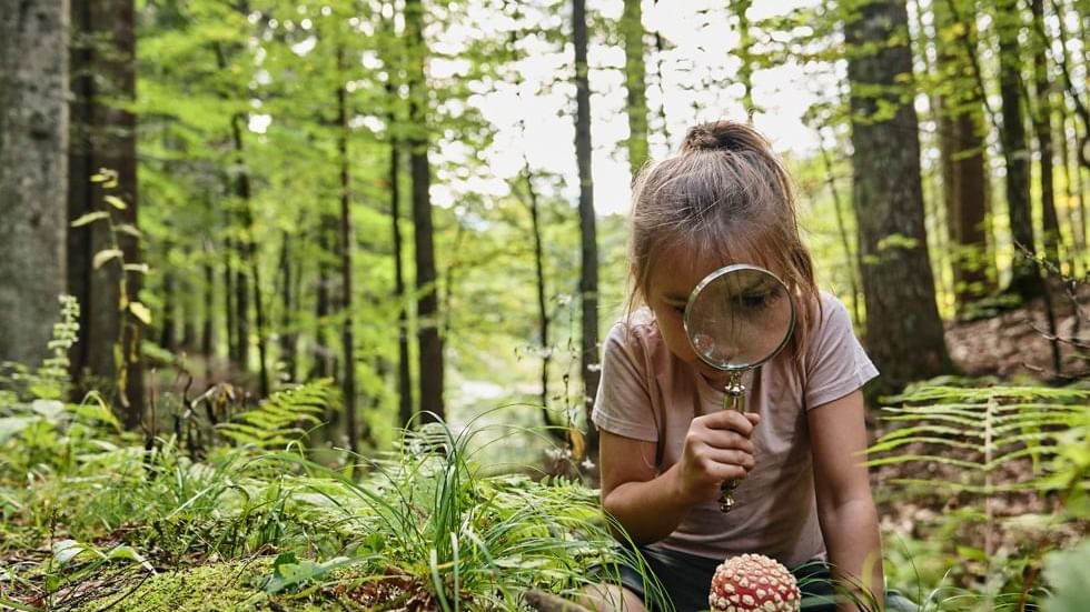 Girl examing a mushroom in a forest near Falkensteiner Hotels