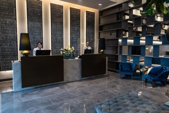 Recepción York Luxury