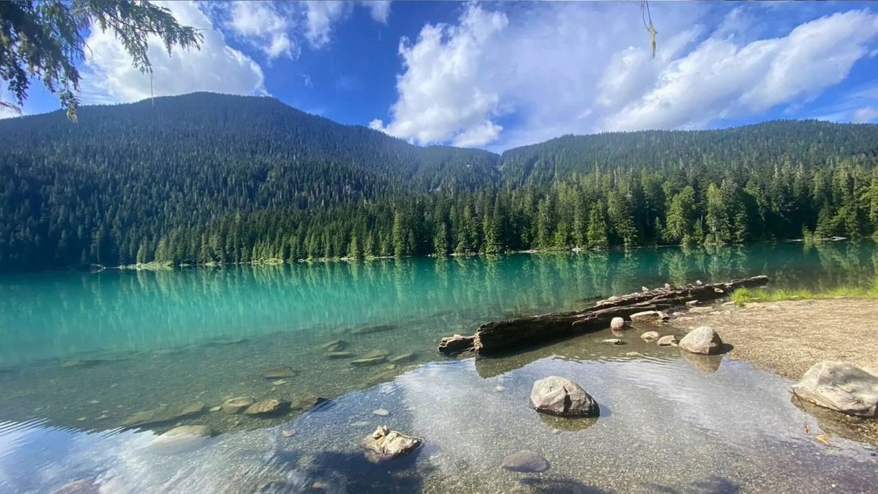 A serene turquoise lake with rocks, a fallen tree, and a lush forest backdrop under a blue sky.