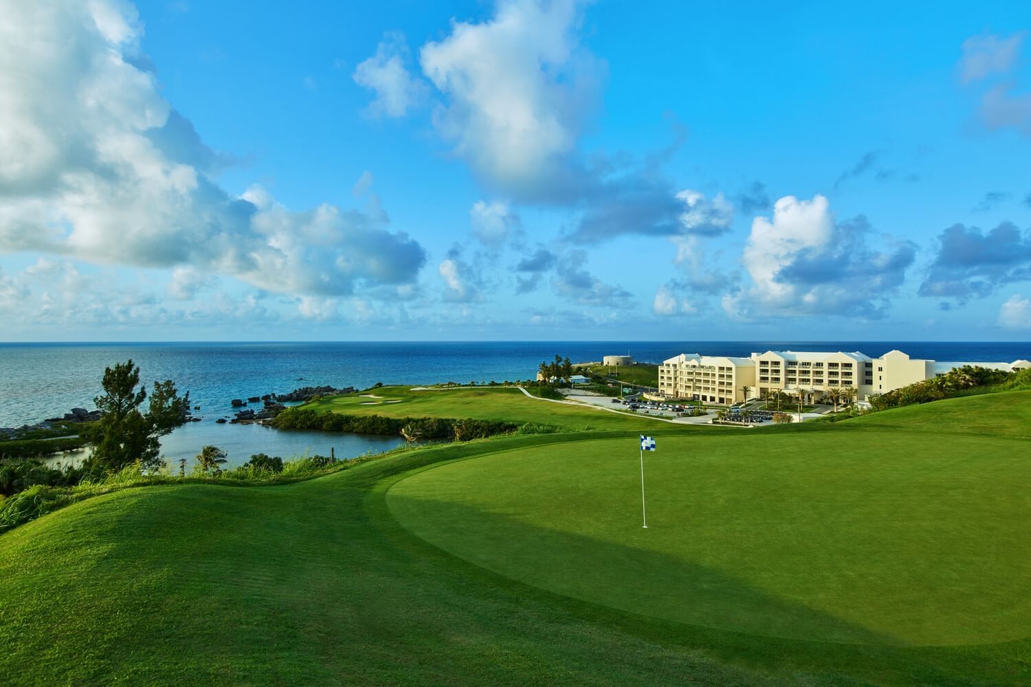 Bermuda de golf sale