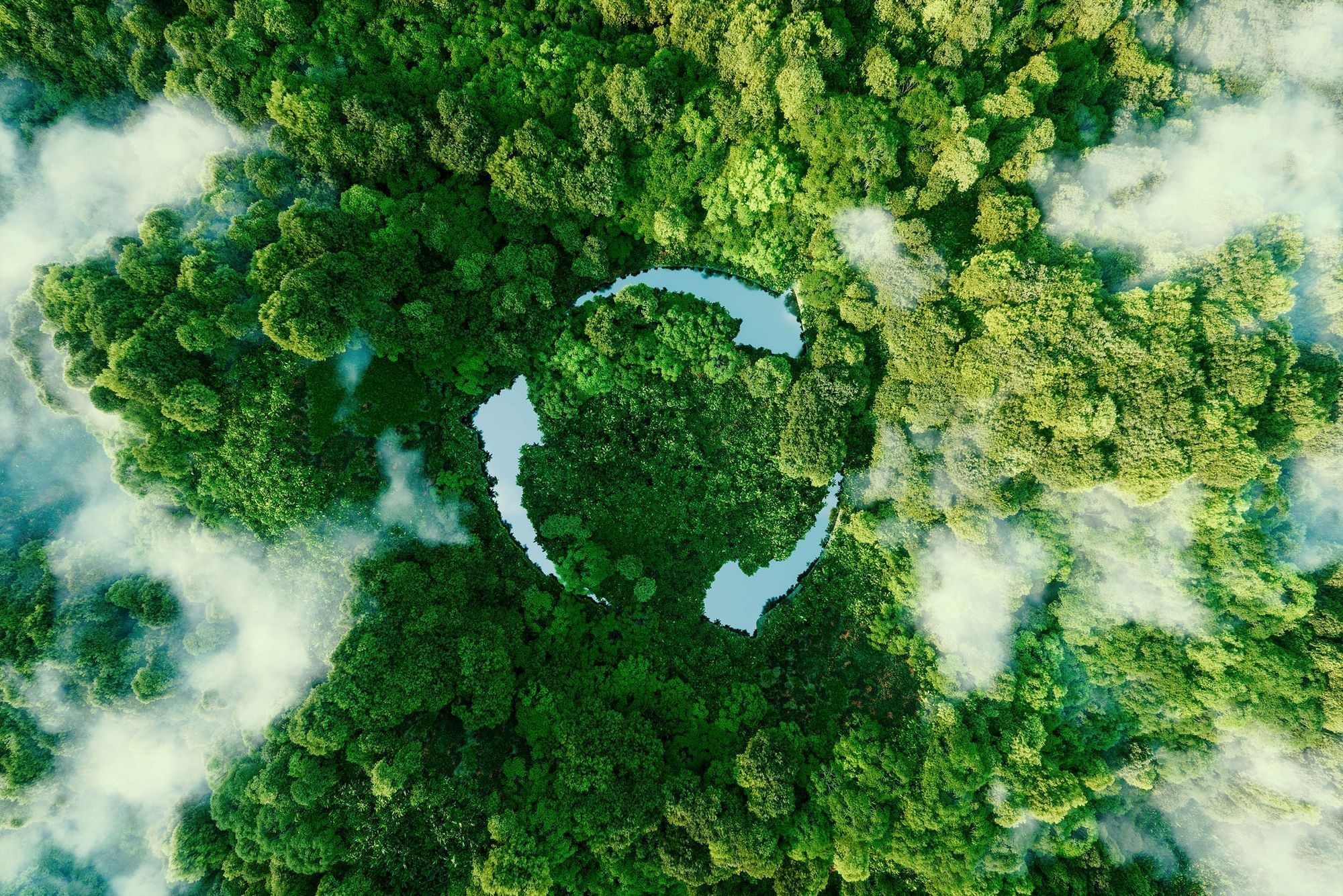Aerial view of a lush forest with a recycle symbol clearing near Warwick Hotels and Resorts