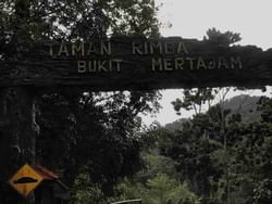 Places of Interest - Bukit Mertajam Recreational Forest Penang