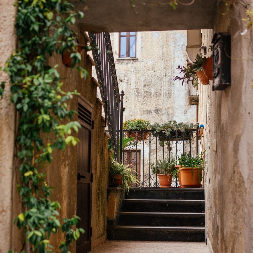 Potted plants on stairs in a flat near Falkensteiner Hotels