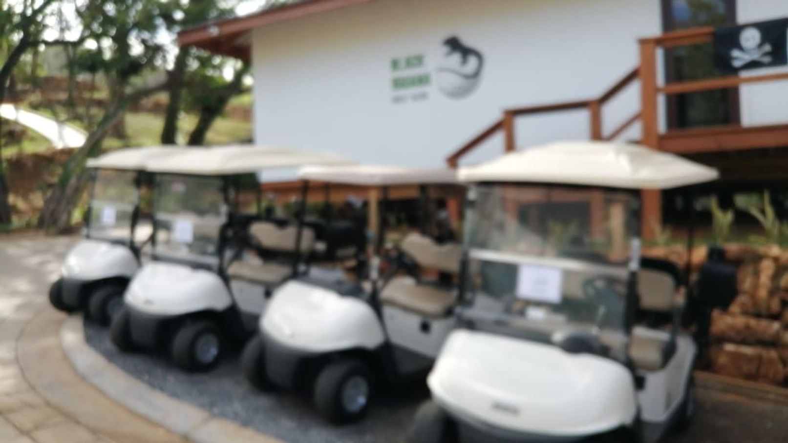 line up of golf carts