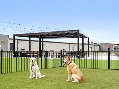 Dickson Village Apartments Outdoor Terrace