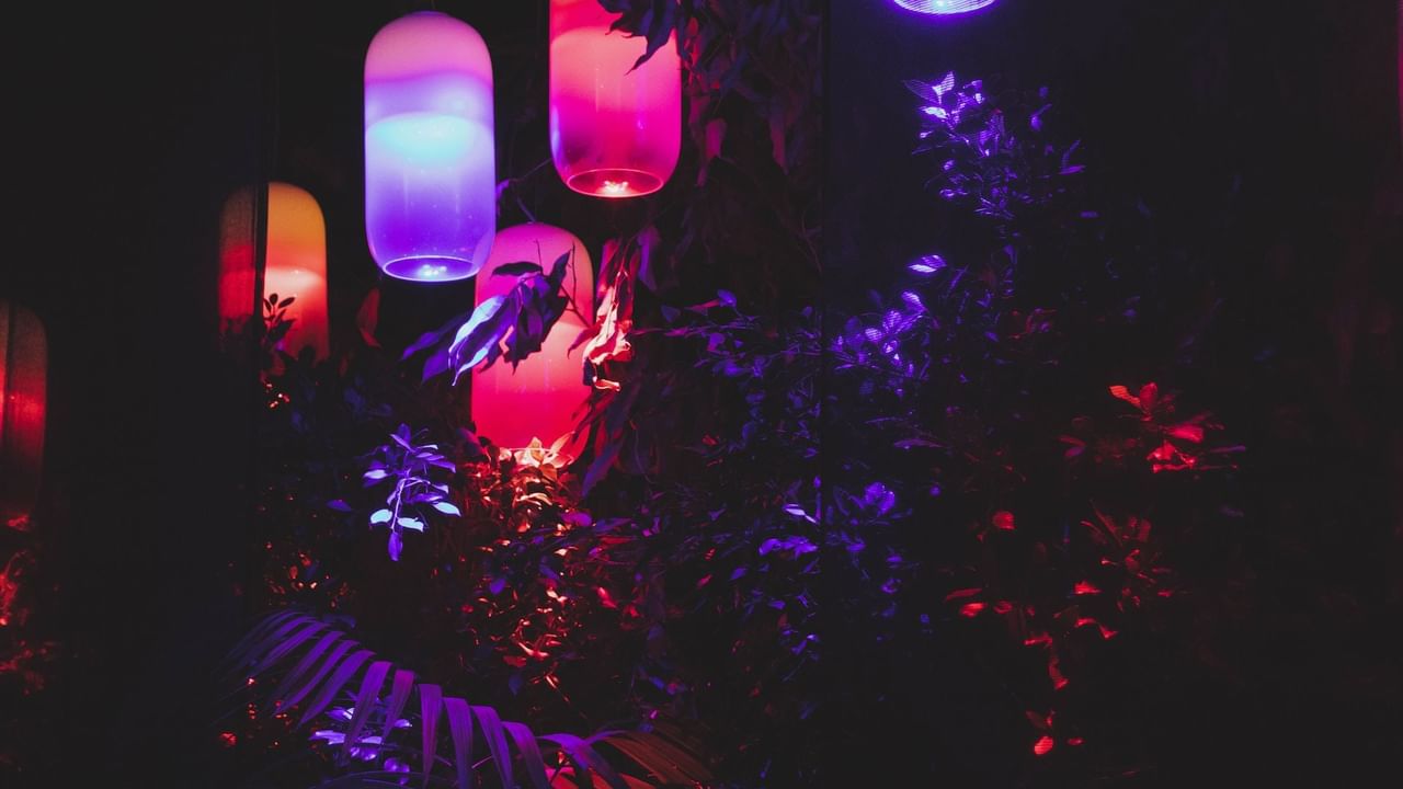 Illuminated light lanterns