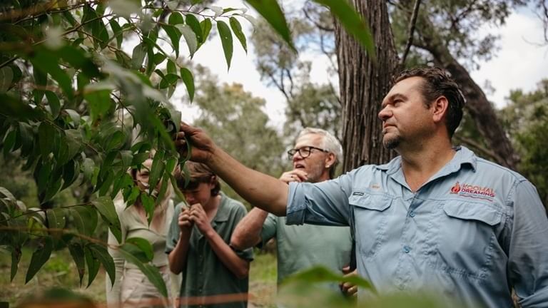Koomal Dreaming Cultural Tours near Pullman Bunker Bay Resort