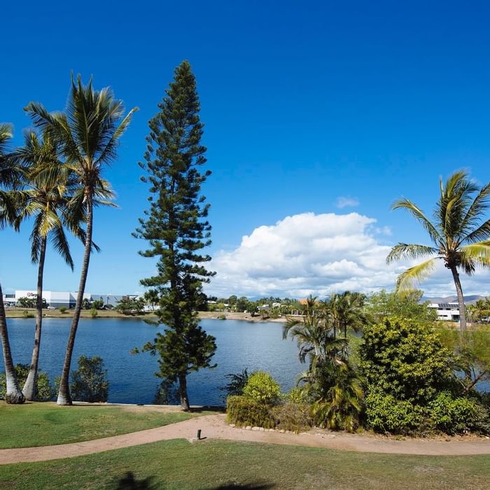 Serene lakeside view featuring palm trees, lush greenery, and a bright sky at Mercure Hotel Townsville