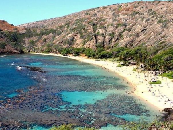 Distant view of Hanauma Bay on a sunny day near Paradise Bay Resort