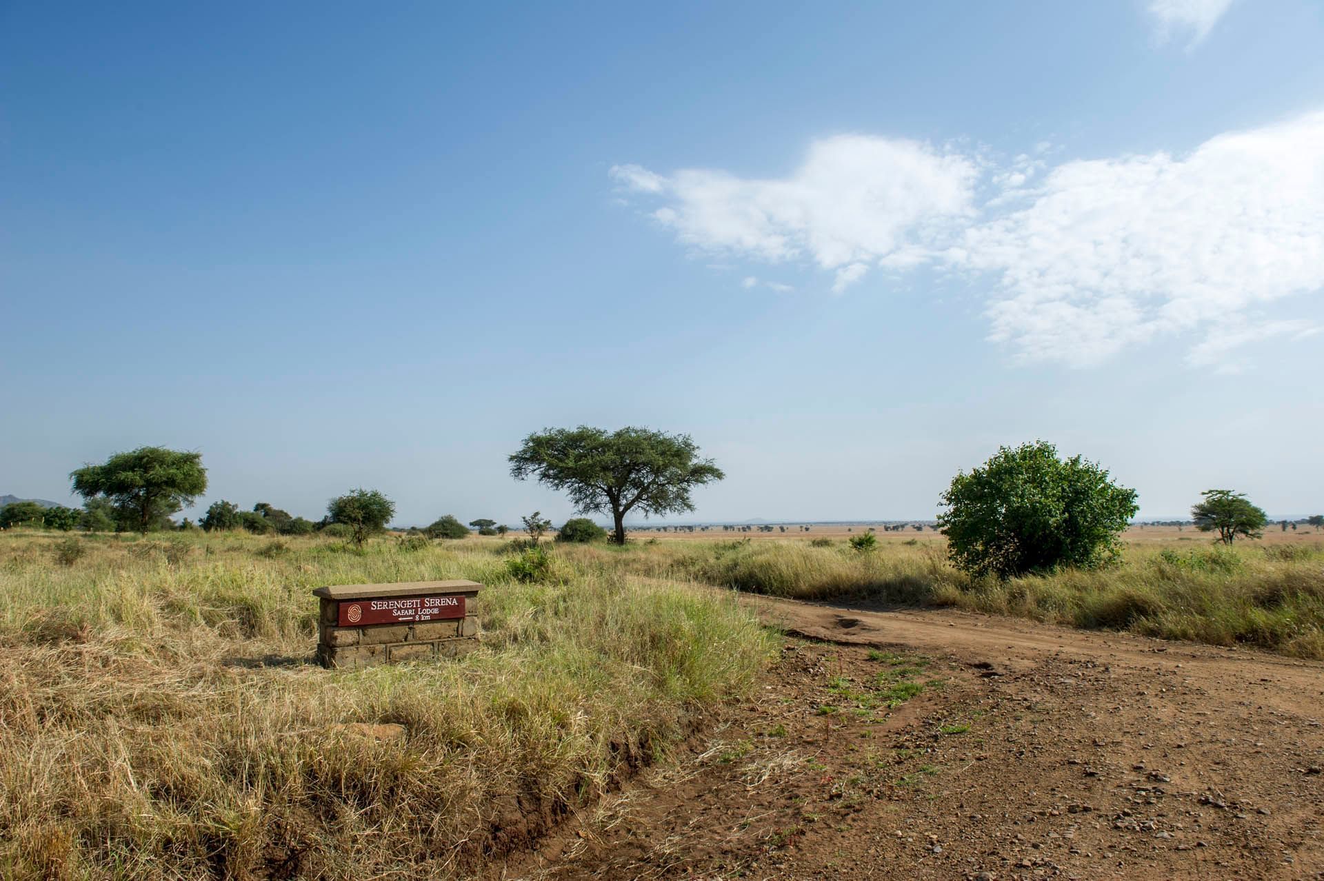 A Pathway towards the hotel at Serengeti Serena Safari Lodge