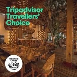 Award logo of Tripadvisor Travelers Choice Award used at Ibagari Hotel