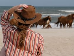 Lady riding horses by the sea near Holiday Inn Hotel & Suites