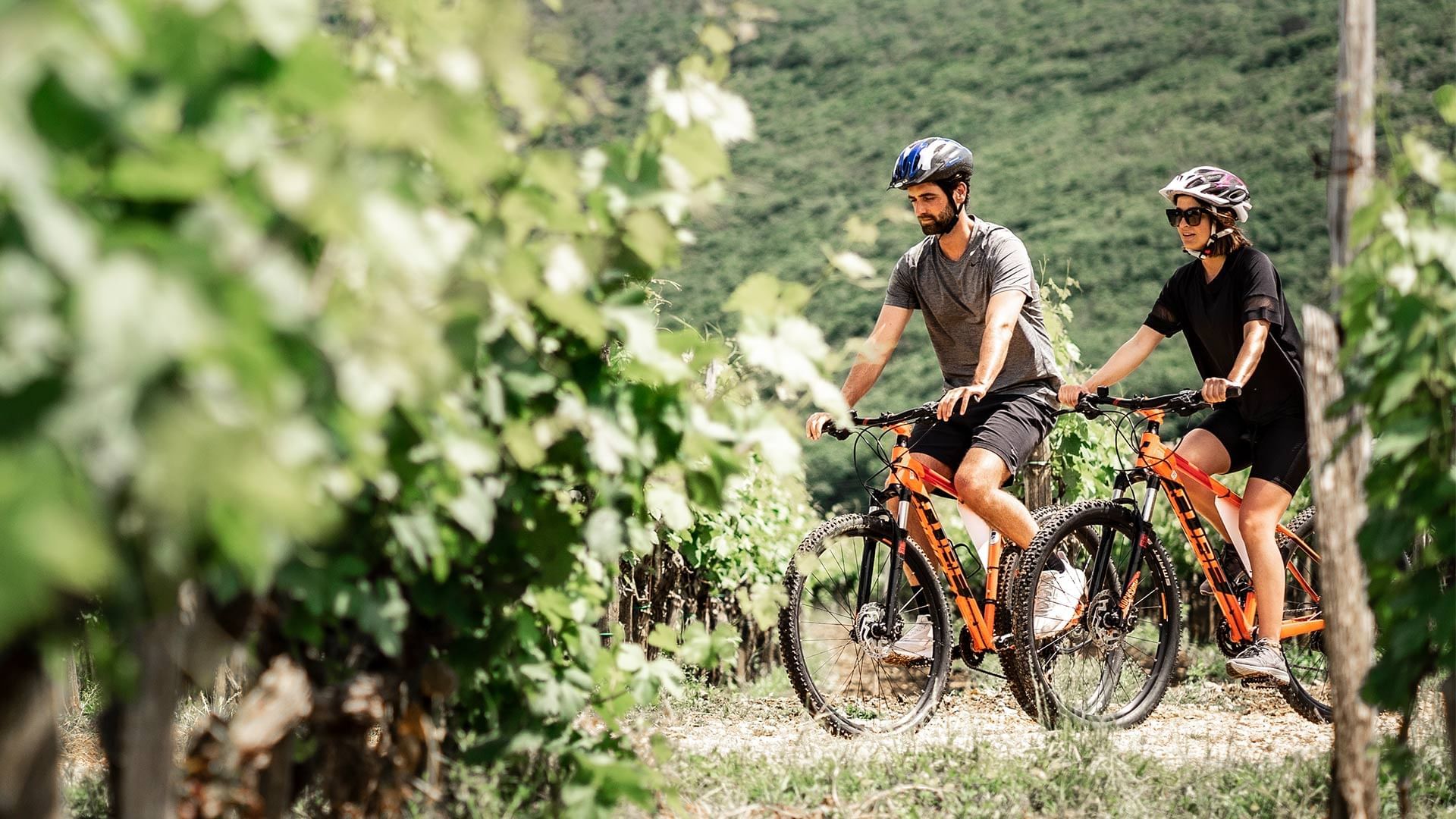Zwei Radfahrer auf orangefarbenen Mountainbikes inmitten eines Weinbergs mit grünem Hintergrund.