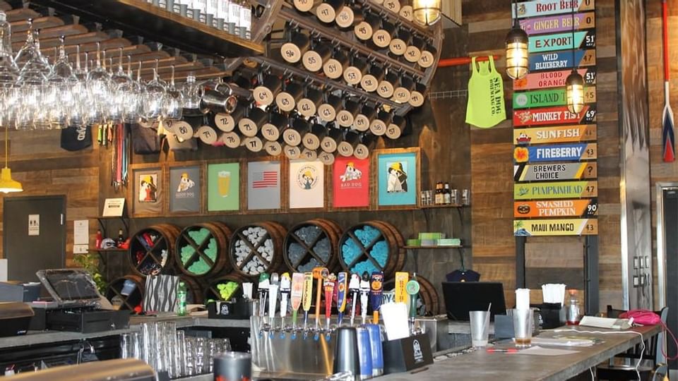 Sea Dog Brewing Treasure Island near Legacy Vacation Resorts