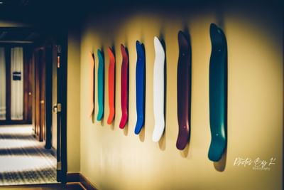 skateboards hanging on a wall