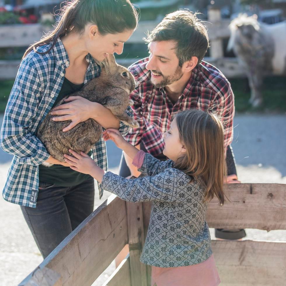 A family petting a rabbit at Falkensteiner Hotels