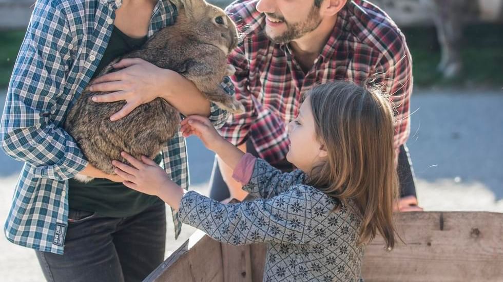 A family petting a rabbit at Falkensteiner Hotels