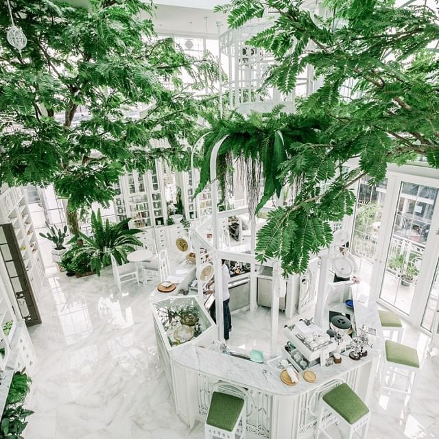 Interior of a café with plenty of indoor plants at Amara Hotels