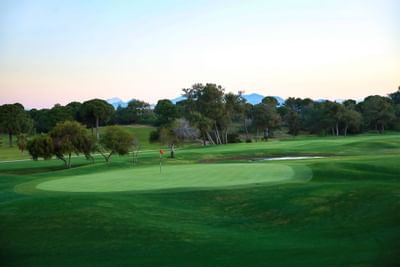 Titanic Golf Club green view