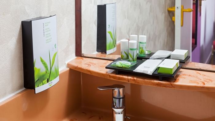 Vanity area with toiletries in a bathroom at Hotel Arras