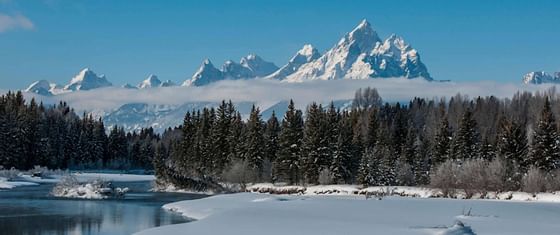 Mountains by the forest covered in snow near Hotel Jackson