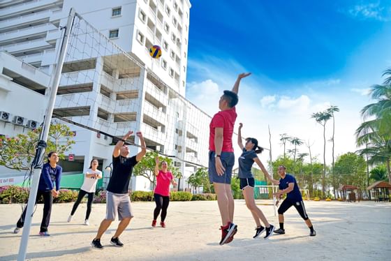 Play beach volleyball at Lexis PD Outdoor Facilities