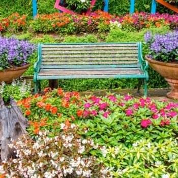a bench surrounded by flowers
