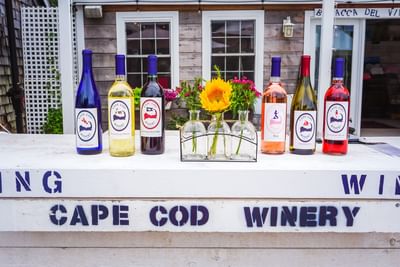 Wines from Cape Cod Winery