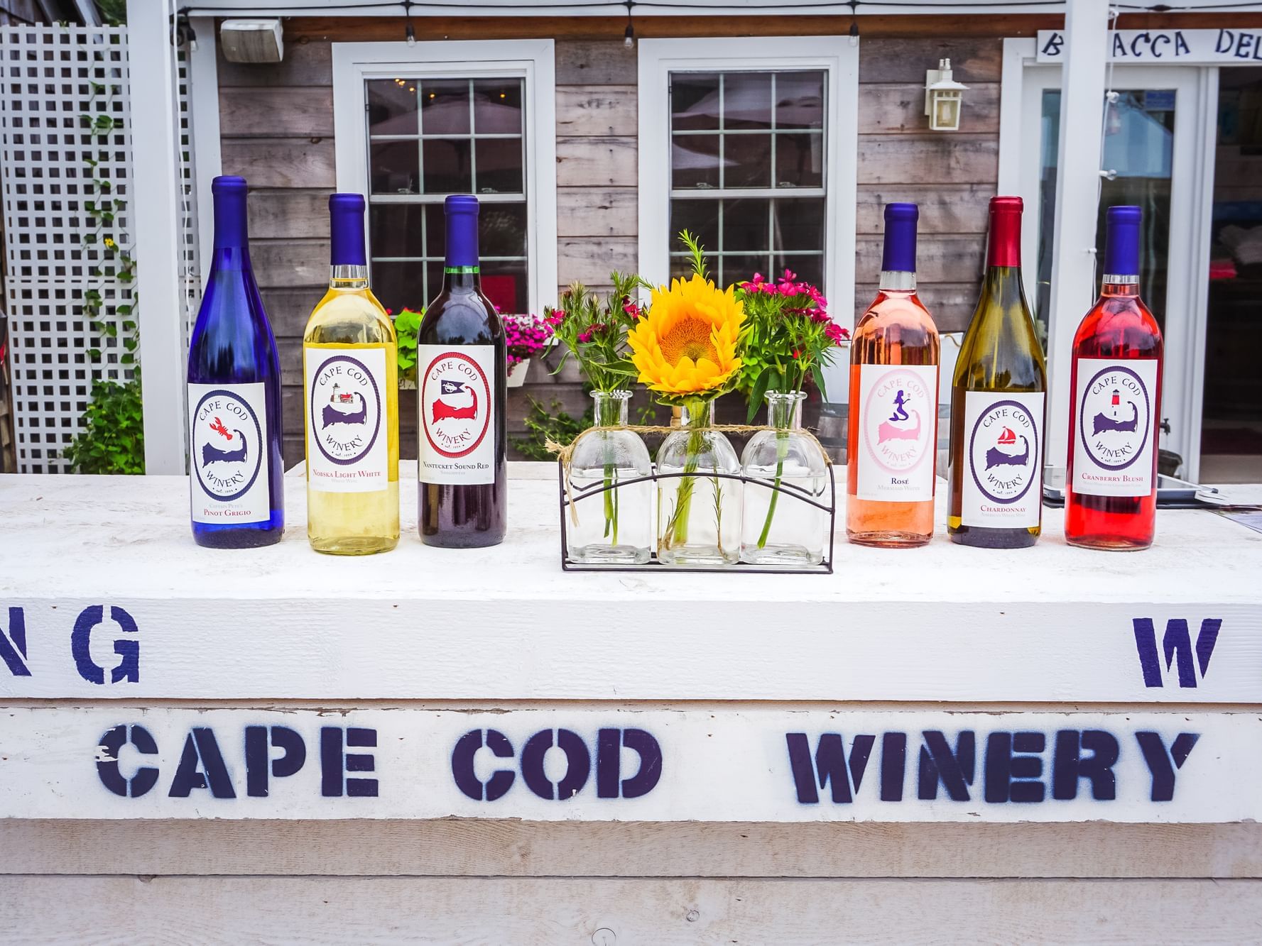 Wines from Cape Cod Winery