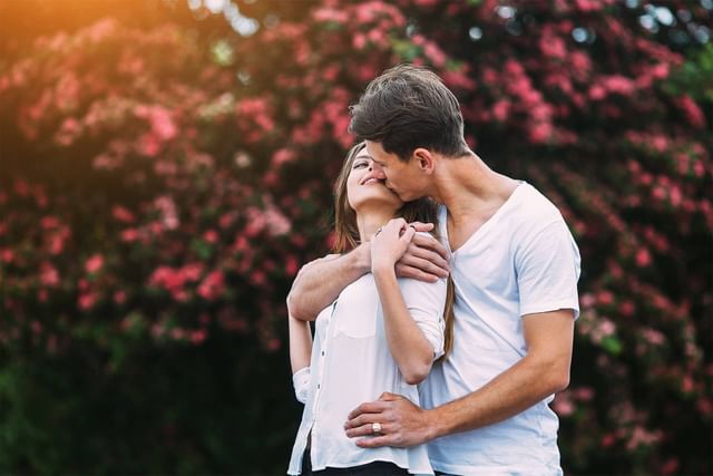 {Our Land of Love App!}