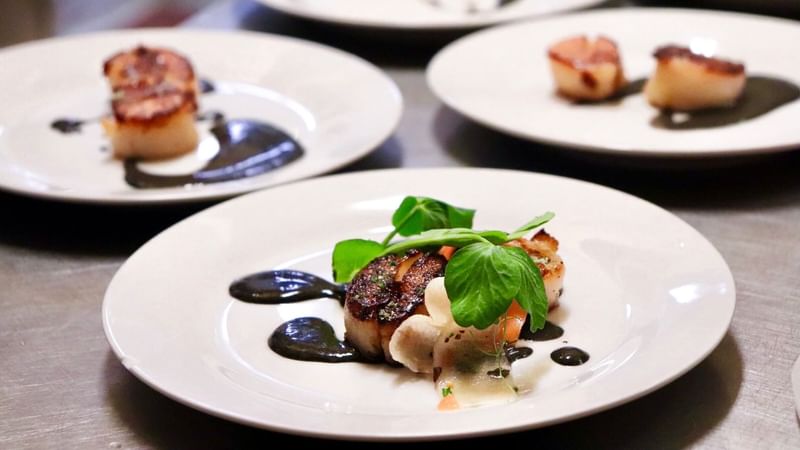 Seared scallops with black sauce, garnished with fresh herbs and vegetables served at Mercure Hotel Townsville
