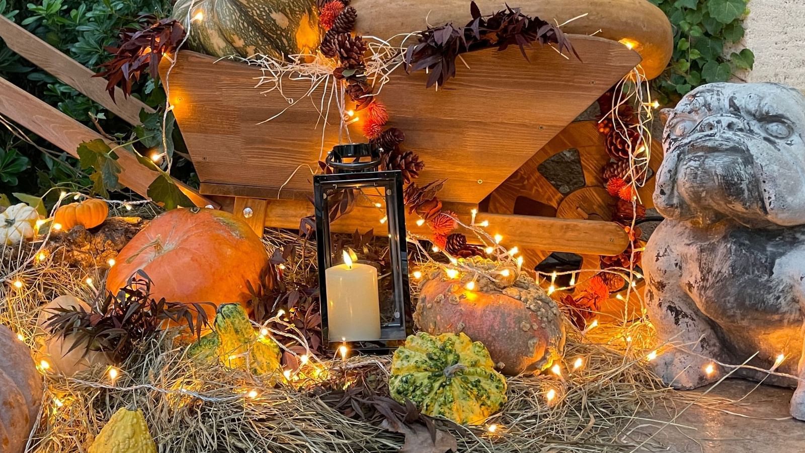 Pumpkins, hay & lights display for Fall at Domaine De Manville