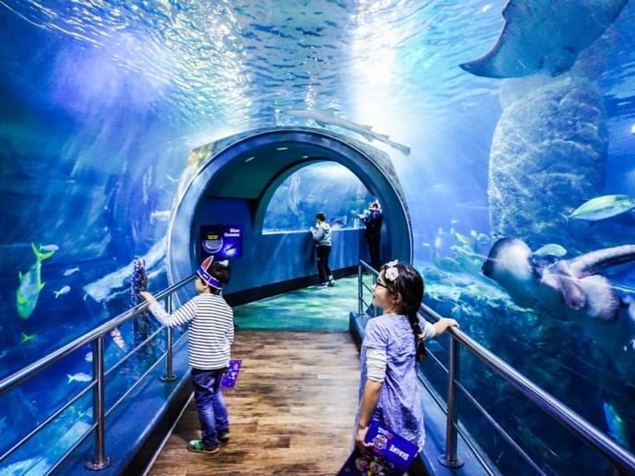 Kids enjoying inside Melbourne Aquarium near Jasper Hotel