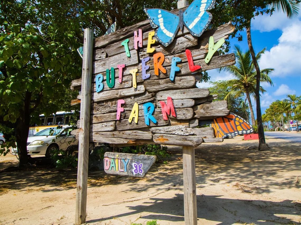 Sign of The Butterfly Farm Aruba with beach in the background near Passions on the Beach